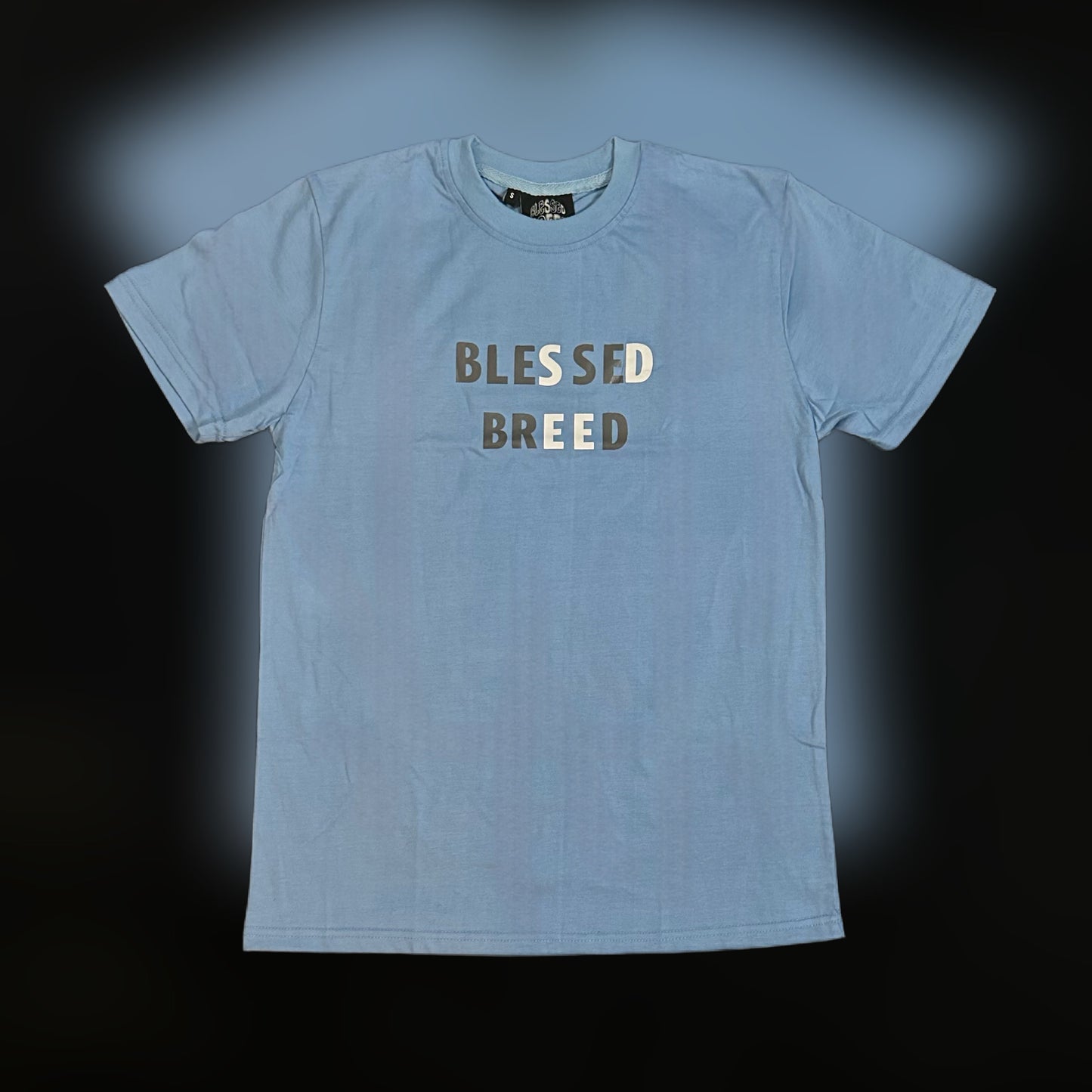 Blue "Romans 6:4" Tee